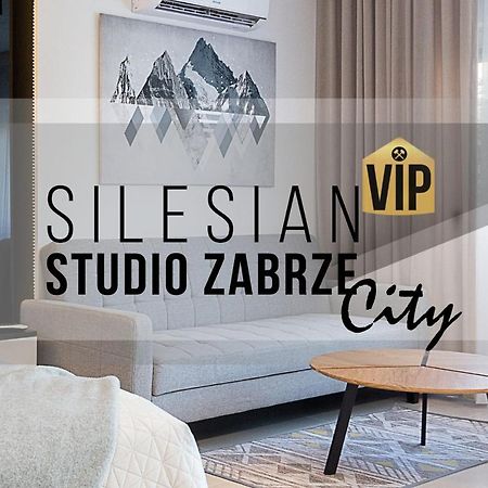 Studio Silesian Vip City Centrum Free Parking 扎布热 外观 照片