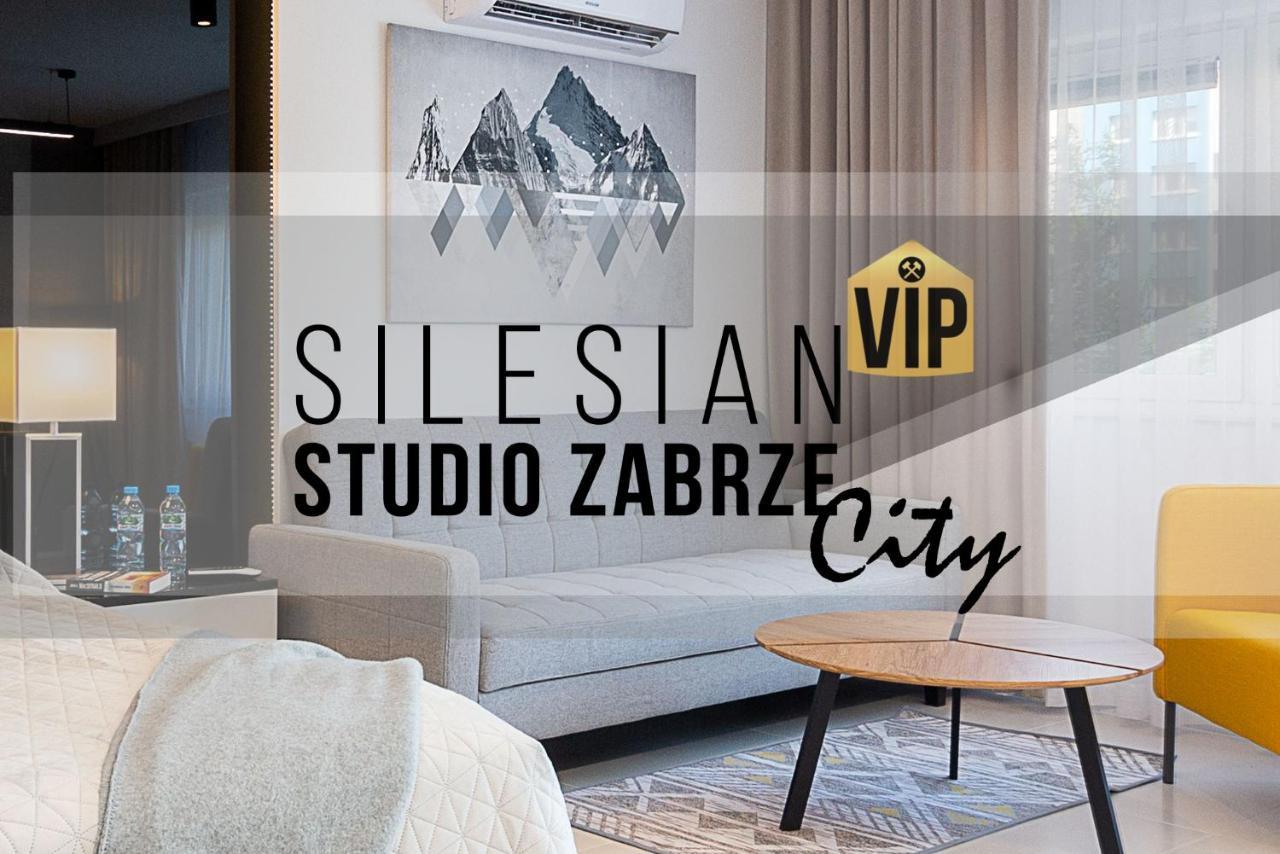 Studio Silesian Vip City Centrum Free Parking 扎布热 外观 照片